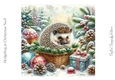 Hedgehog at Christmas No.3