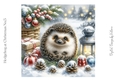 Hedgehog at Christmas No.5
