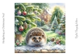 Hedgehog at Christmas No.7