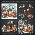 Robin and Candlelight Topper and Decoupage No.3