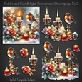 Robin and Candlelight Topper and Decoupage No.5