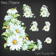 Daisy 2 Vignette