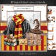 HP Magical Birthday Gryffindor 7x7 inch Kit