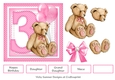 3rd Birthday Teddy Bear