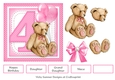 4th Birthday Teddy Bear