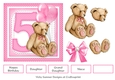 5th Birthday Teddy Bear
