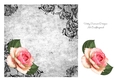 Grunge with Single Pink Rose