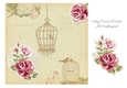Shabby Bird Cage