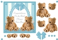 Twin Baby Boy Teddy Bear