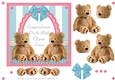 Twin Baby Boy and Girl Teddy Bear