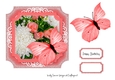 Pink Butterfly