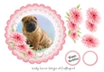 Dog Scolloped Topper 3