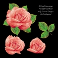 Rose Decoupage 2