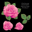 Rose Decoupage 3