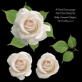 Rose Decoupage 4