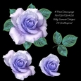 Rose Decoupage 6