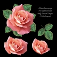 Rose Decoupage 8