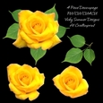 Rose Decoupage 10