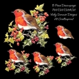 Little Robin Red Breast Decoupage 1