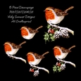 Little Robin Red Breast Decoupage 2