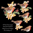 Little Robin Red Breast Decoupage 3