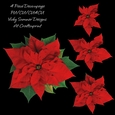 Poinsettia Decoupage