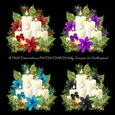 Christmas Candle Arrangement 4 Colours PNG