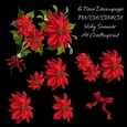 Poinsettia and Mistletoe Decoupage