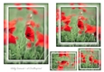 Floral Toppers and Tags 11