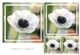 Floral Toppers and Tags 22