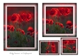 Floral Toppers and Tags 29