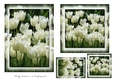 Floral Toppers and Tags 30