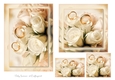 Wedding Anniversary Toppers and Tags 4