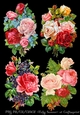 Vintage Floral Bouquets 2 set of 4 PNG