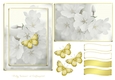 Serene White and Gold 1