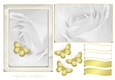 Serene White and Gold 5