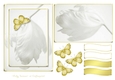 Serene White and Gold 8