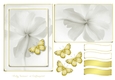 Serene White and Gold 9