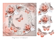 Rose and Butterfly Soft 2