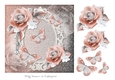 Rose and Butterfly Soft 11