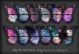 Cosmic Butterlfy PNG 2