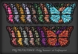 Mermaid Scales Butterfly