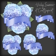 Hydrangea and Banner Cluster