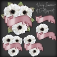 Anemone and Banner Cluster 2