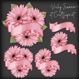 Gerbera and Banner Cluster