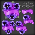 Pansy and Banner Cluster 1