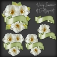 Dogwood Rose and Banner Cluster