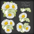 Daisy and Banner Cluster