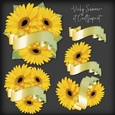 Gerbera and Banner Cluster 2