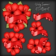 Hibiscus and Banner Cluster